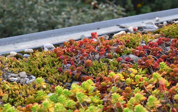 the cost of Rackwick green roof installation